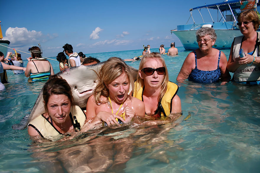 Illustration de l'article : 28 Photos de Vacances Ruinées Par Des Animaux. Qui Peut Garder Son Sérieux Devant Les Deux Dernières ?